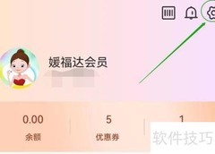 媛福达财务信息查看指南