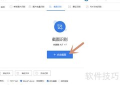 网页文字提取技巧