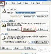 提取网页缓存音乐技巧