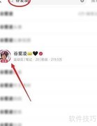 谷爱凌直播观看指南