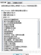 Windows系统优化技巧