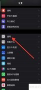 关闭iPhone键盘自动标点