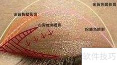 单眼皮变电眼秘诀