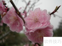 巧记词汇：非常记忆法