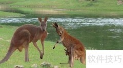 秦皇岛野生动物园游玩指南