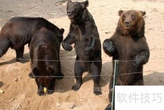 秦皇岛野生动物园游玩指南