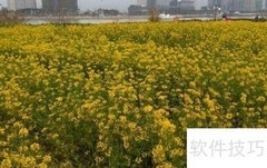 福州花海公园油菜花出行指南