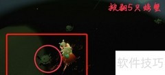 光遇1.17每日任务速通指南