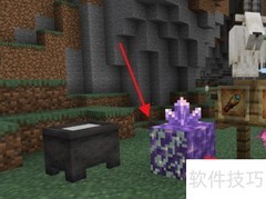 我的世界1.17下载指南