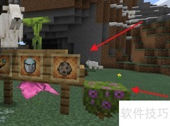 我的世界1.17下载指南