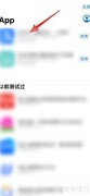 苹果手机如何删除测试软件