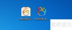 Navicat安装与使用指南