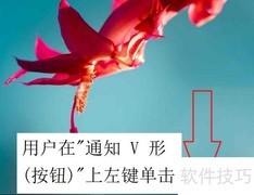 蓝牙未配对无法传图