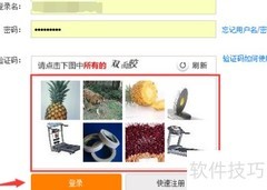 12306自动抢票技巧