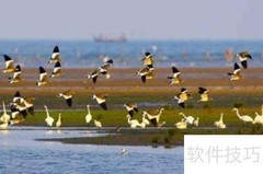 北戴河必游景点推荐