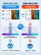 熬鹰式看世界杯首选RGB-Mini LED电视，硬件级低蓝光才是真护眼