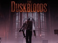 The Duskbloods实机试玩获赞：高自由度立体动作+Switch 2稳定40帧