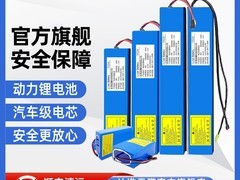 VOA电动车锂电池限时特惠，直降50元仅需253元