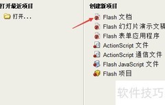 随波逐流：FLASH的旅程