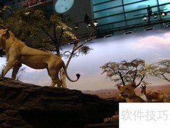 上海科技馆探秘之旅