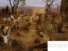 上海科技馆探秘之旅