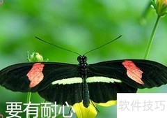 高效办公：办公室工作技巧