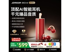 机乐堂耳夹式耳机哑黑款539元