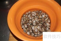 小贝壳的美味做法