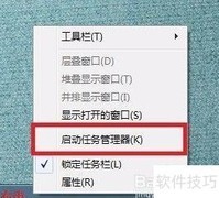 Netpas服务未启动？