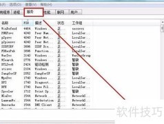 Netpas服务未启动？