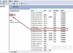 Netpas服务未启动？