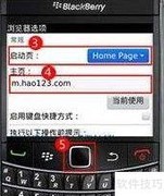 黑莓手机设置hao123首页教程