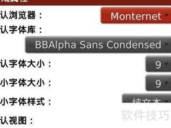 黑莓浏览器设置技巧