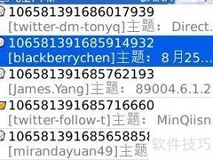 黑莓手机使用技巧大全