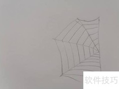 蜘蛛与网绘画步骤详解