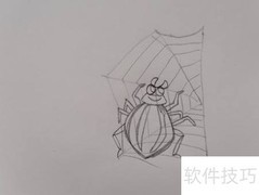 蜘蛛与网绘画步骤详解