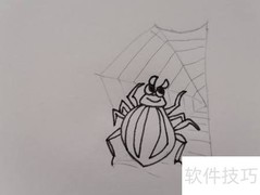 蜘蛛与网绘画步骤详解