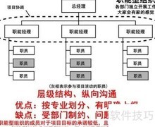 PMP组织类型精要解析