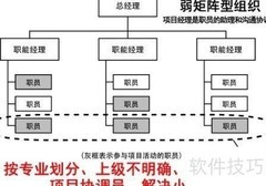 PMP组织类型精要解析