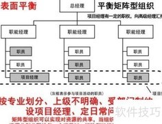 PMP组织类型精要解析