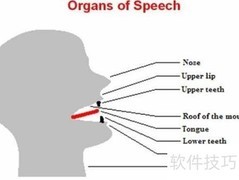 提升英文发音的实用技巧