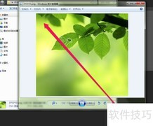 图片查看器复制技巧