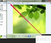 图片查看器复制技巧