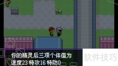 口袋妖怪珍珠个体值查看方法