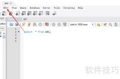 Workbench显示列类型设置方法