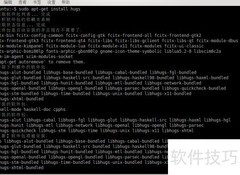 Casper/FDR工具安装指南