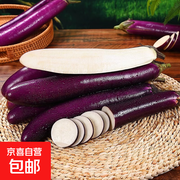 原价6.99元2斤紫皮长茄，用券后3.99元速抢！