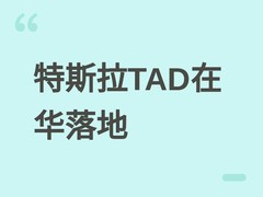 特斯拉在华推出合规版FSD（TAD），九城扩招90名研发人员推进本土化