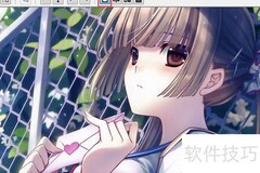 PhotoZoom分屏对比预览