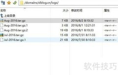 光年分析网站日志指南